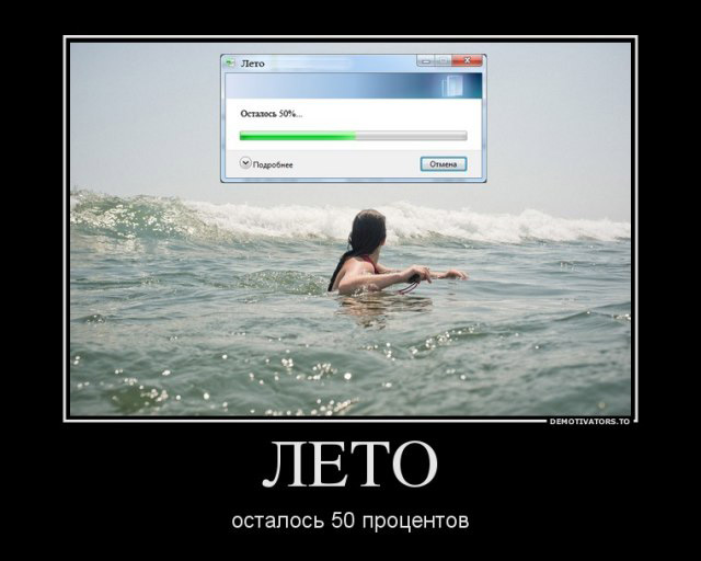 лето-50%